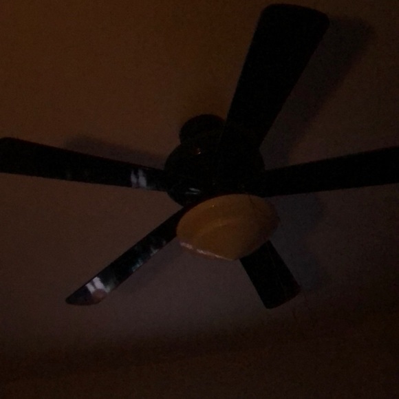 Meet your Posher, James - Picture 1 of 1